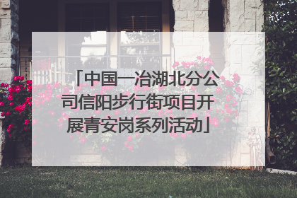 中国一冶湖北分公司信阳步行街项目开展青安岗系列活动