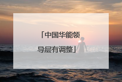 中国华能领导层有调整