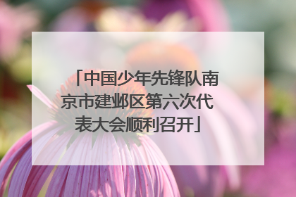 中国少年先锋队南京市建邺区第六次代表大会顺利召开
