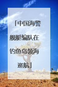 中国海警舰艇编队在钓鱼岛领海巡航