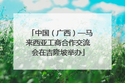 中国（广西）—马来西亚工商合作交流会在吉隆坡举办