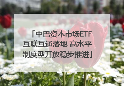 中巴资本市场ETF互联互通落地 高水平制度型开放稳步推进