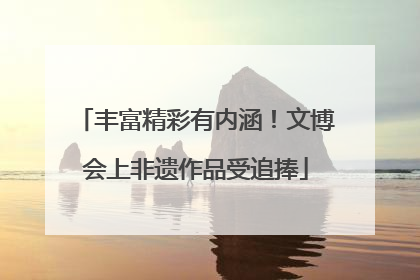 丰富精彩有内涵！文博会上非遗作品受追捧