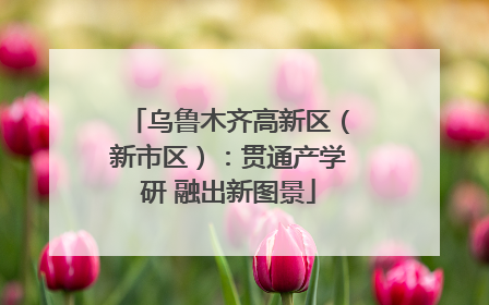 乌鲁木齐高新区（新市区）：贯通产学研 融出新图景