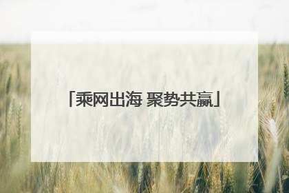 乘网出海 聚势共赢