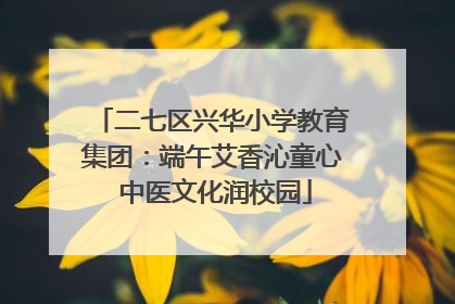 二七区兴华小学教育集团：端午艾香沁童心 中医文化润校园