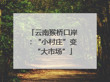 云南猴桥口岸：“小村庄”变“大市场”