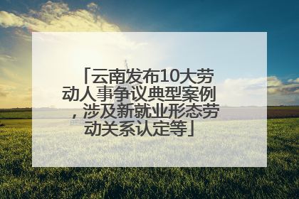 云南发布10大劳动人事争议典型案例，涉及新就业形态劳动关系认定等