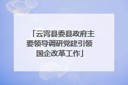 云霄县委县政府主要领导调研党建引领国企改革工作