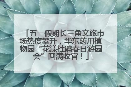 五一假期长三角文旅市场热度攀升，华东药用植物园“花漾杜鹃春日游园会”圆满收官！
