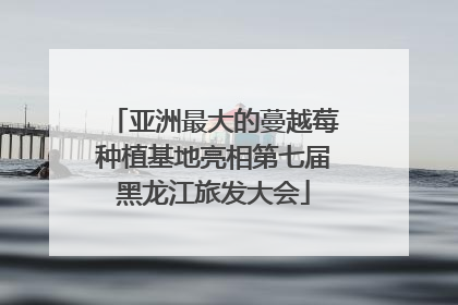 亚洲最大的蔓越莓种植基地亮相第七届黑龙江旅发大会