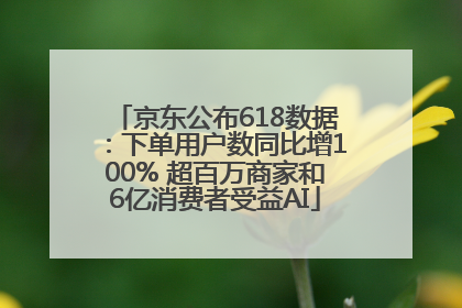 京东公布618数据：下单用户数同比增100% 超百万商家和6亿消费者受益AI