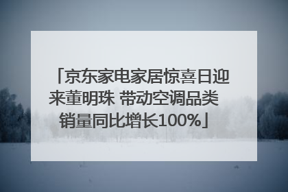 京东家电家居惊喜日迎来董明珠 带动空调品类销量同比增长100%