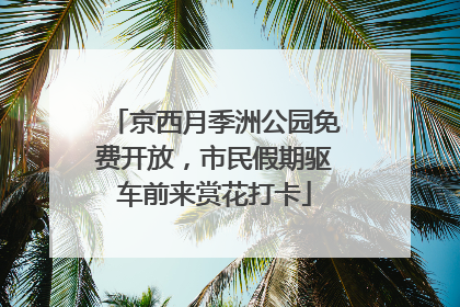 京西月季洲公园免费开放，市民假期驱车前来赏花打卡