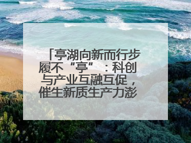 亭湖向新而行步履不“亭”：科创与产业互融互促，催生新质生产力澎湃动能