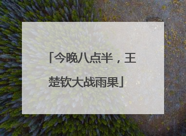 今晚八点半，王楚钦大战雨果