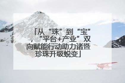 从“珠”到“宝”，“平台+产业”双向赋能行动助力诸暨珍珠升级蜕变