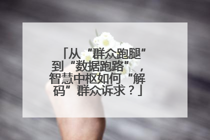 从“群众跑腿”到“数据跑路”，智慧中枢如何“解码”群众诉求？