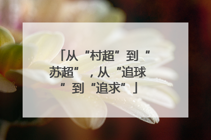 从“村超”到“苏超”，从“追球”到“追求”