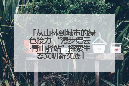 从山林到城市的绿色接力 “漫步缙云·青山驿站”探索生态文明新实践
