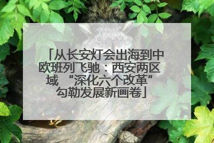 从长安灯会出海到中欧班列飞驰：西安两区域 “深化六个改革” 勾勒发展新画卷