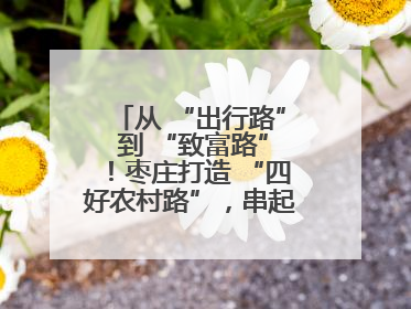 从 “出行路” 到 “致富路”！枣庄打造 “四好农村路”，串起乡村振兴新图景