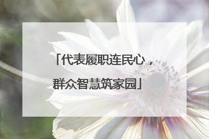 代表履职连民心，群众智慧筑家园