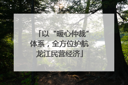 以“暖心仲裁”体系，全方位护航龙江民营经济