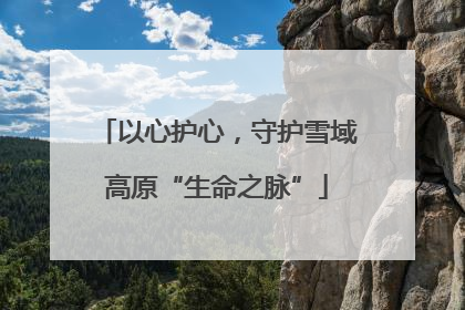 以心护心，守护雪域高原“生命之脉”