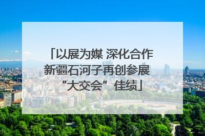 以展为媒 深化合作 新疆石河子再创参展“大交会”佳绩