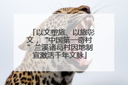 以文塑旅、以旅彰文，“中国第一奇村”兰溪诸葛村因地制宜激活千年文脉