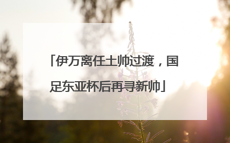 伊万离任土帅过渡，国足东亚杯后再寻新帅