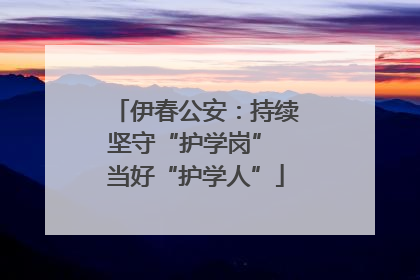 伊春公安：持续坚守“护学岗” 当好“护学人”