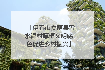 伊春市嘉荫县雪水温村厚植文明底色促进乡村振兴