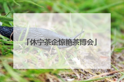 休宁茶企惊艳茶博会
