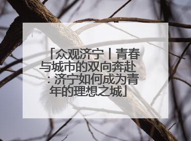 众观济宁丨青春与城市的双向奔赴：济宁如何成为青年的理想之城