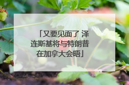 又要见面了 泽连斯基将与特朗普在加拿大会晤