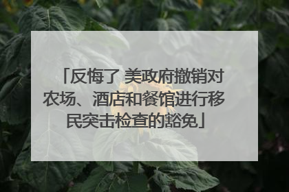 反悔了 美政府撤销对农场、酒店和餐馆进行移民突击检查的豁免