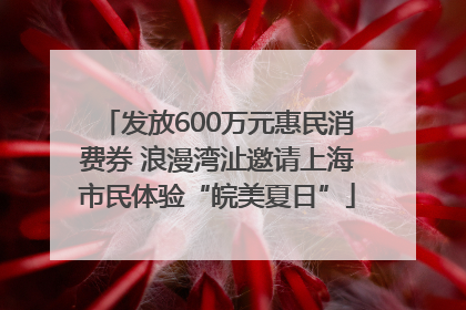 发放600万元惠民消费券 浪漫湾沚邀请上海市民体验“皖美夏日”