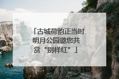 古城荷韵正当时 明月公园邀您共赏“别样红”