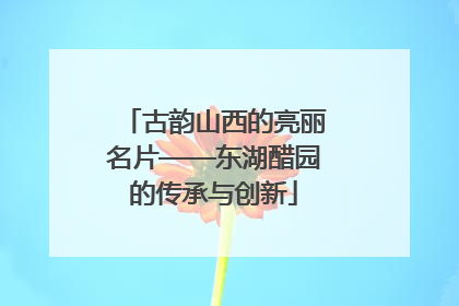 古韵山西的亮丽名片——东湖醋园的传承与创新