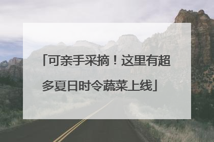 可亲手采摘！这里有超多夏日时令蔬菜上线