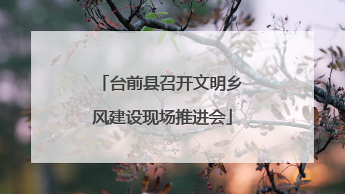 台前县召开文明乡风建设现场推进会