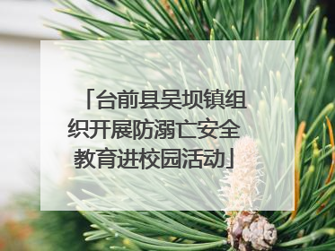 台前县吴坝镇组织开展防溺亡安全教育进校园活动