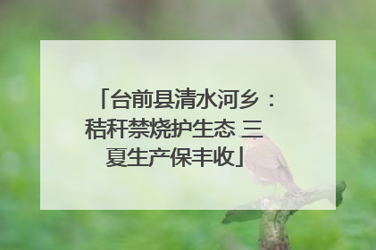 台前县清水河乡：秸秆禁烧护生态 三夏生产保丰收