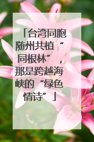 台湾同胞随州共植“同根林”，那是跨越海峡的“绿色情诗”