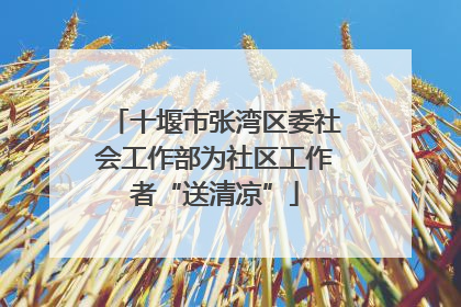 十堰市张湾区委社会工作部为社区工作者“送清凉”