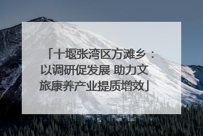 十堰张湾区方滩乡：以调研促发展 助力文旅康养产业提质增效