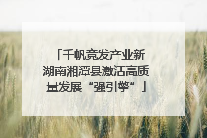 千帆竞发产业新 湖南湘潭县激活高质量发展“强引擎”