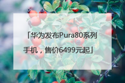 华为发布Pura80系列手机，售价6499元起